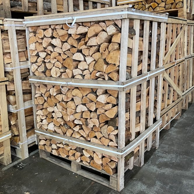 Alder Logs Wholesale