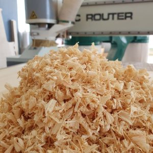 Beech Wood Shaving