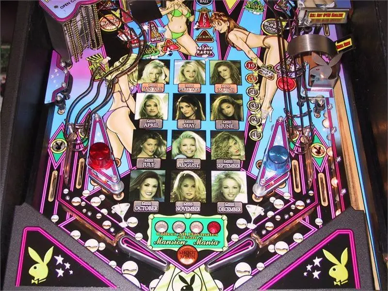 PLAYBOY STERN PINBALL FLIPPER (P2258) - Image 7